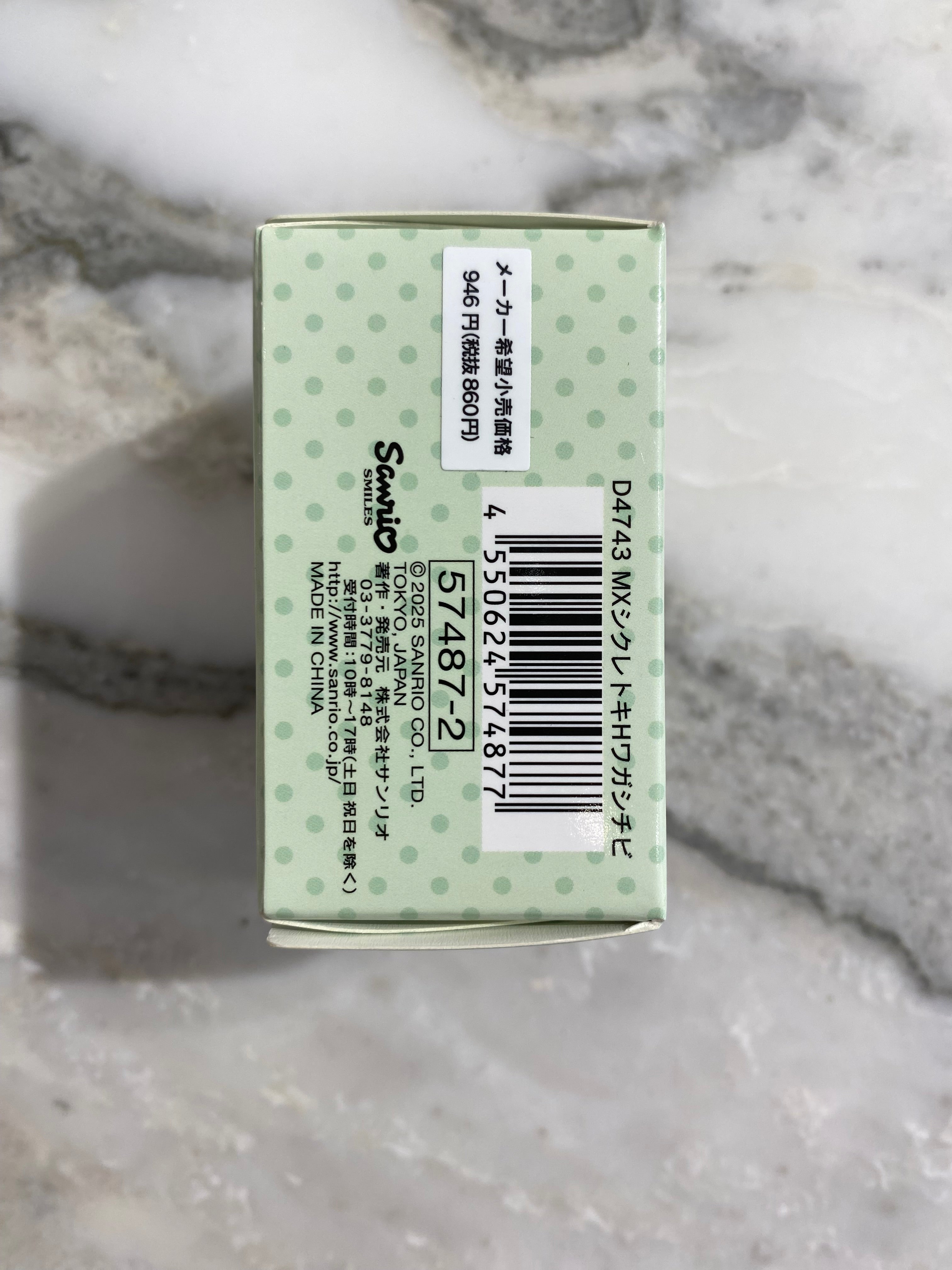 Sanrio Keychain Blind Box V1