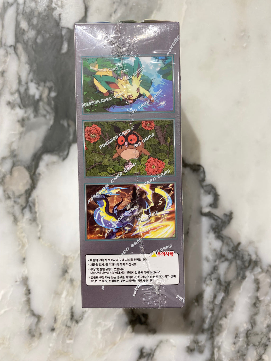 Pokemon Terastal Festival Ex Kor