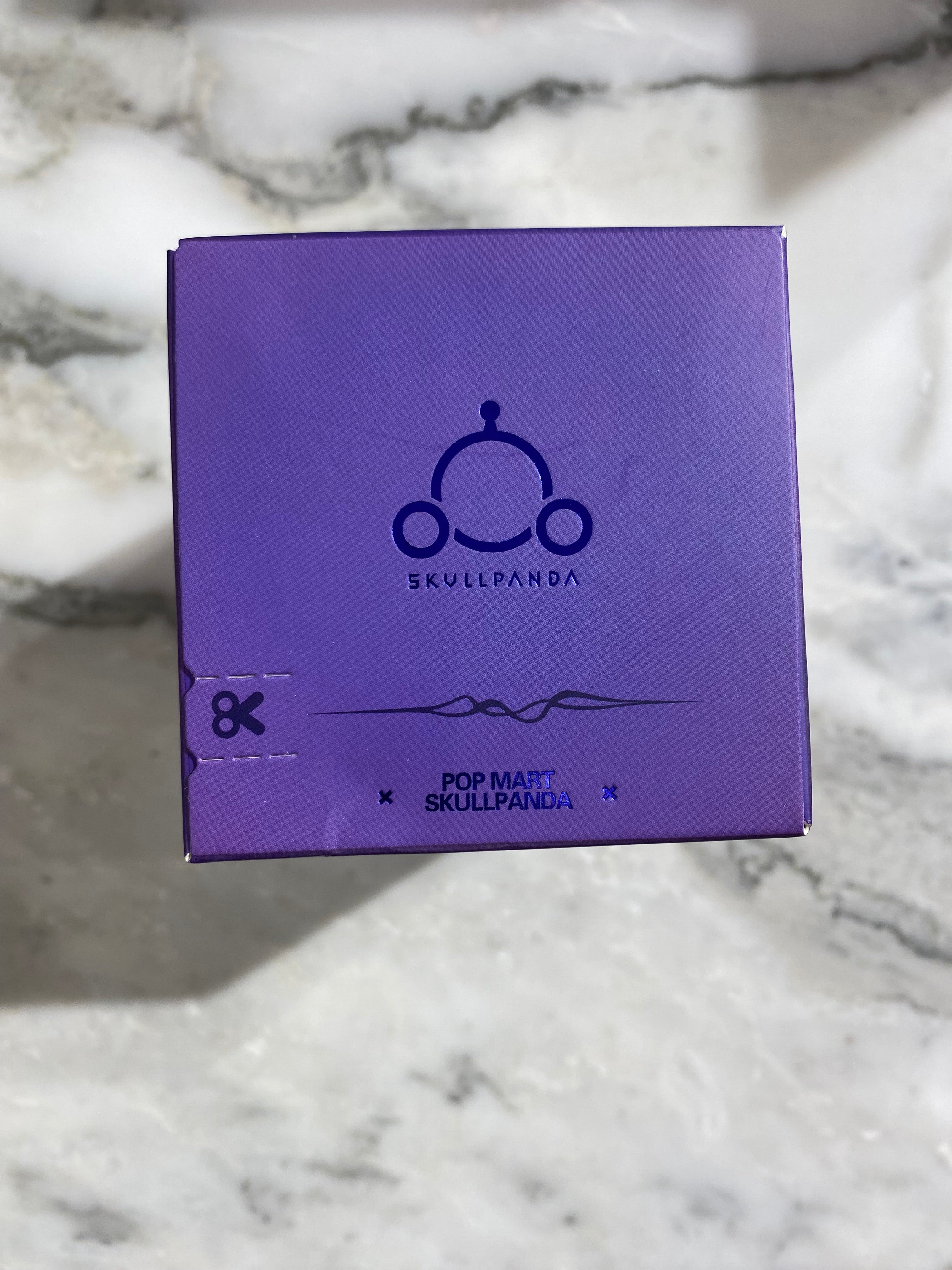 SkullPanda The Sound Blind Box