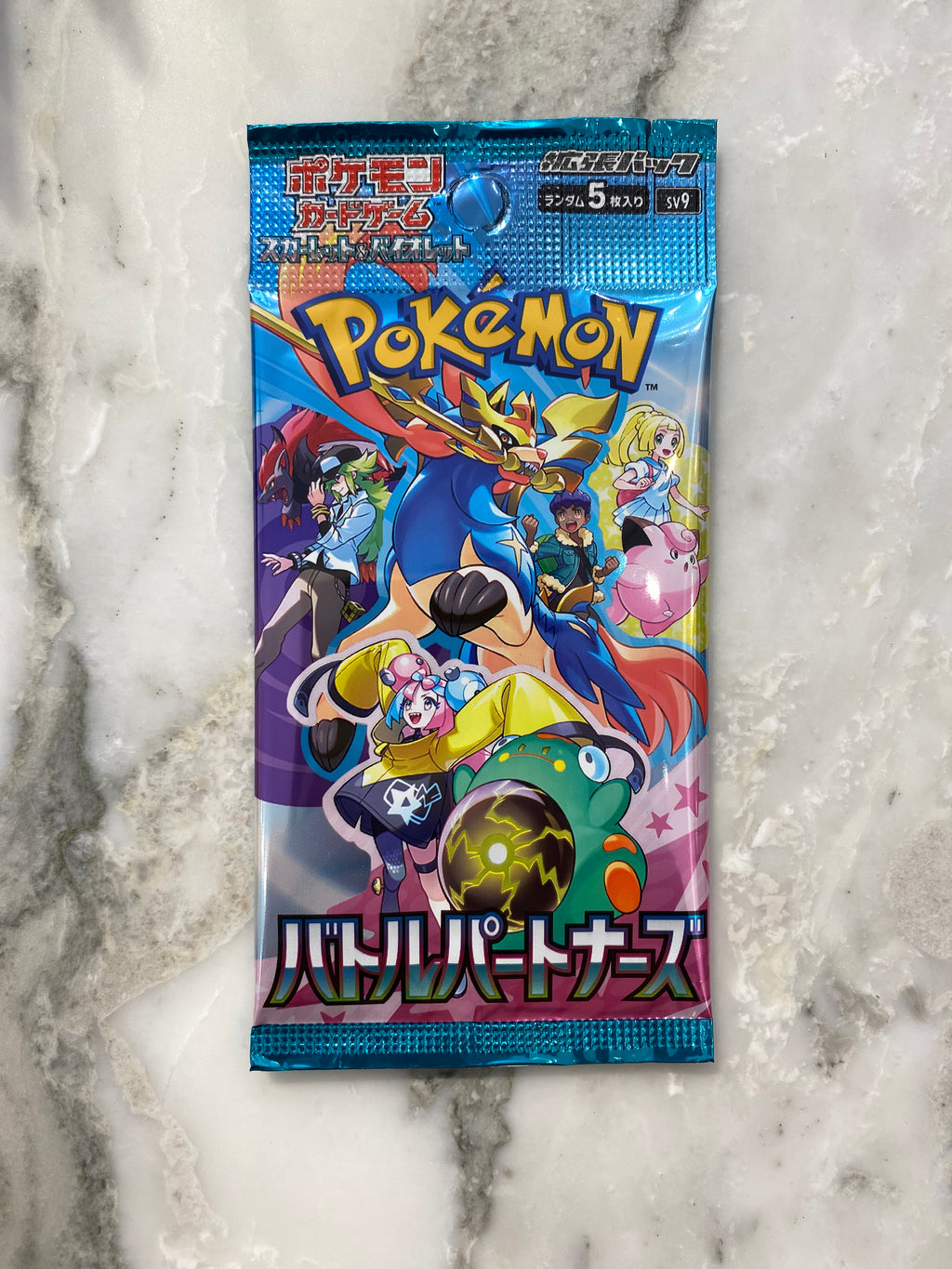 Pokemon Battle Partners Jap