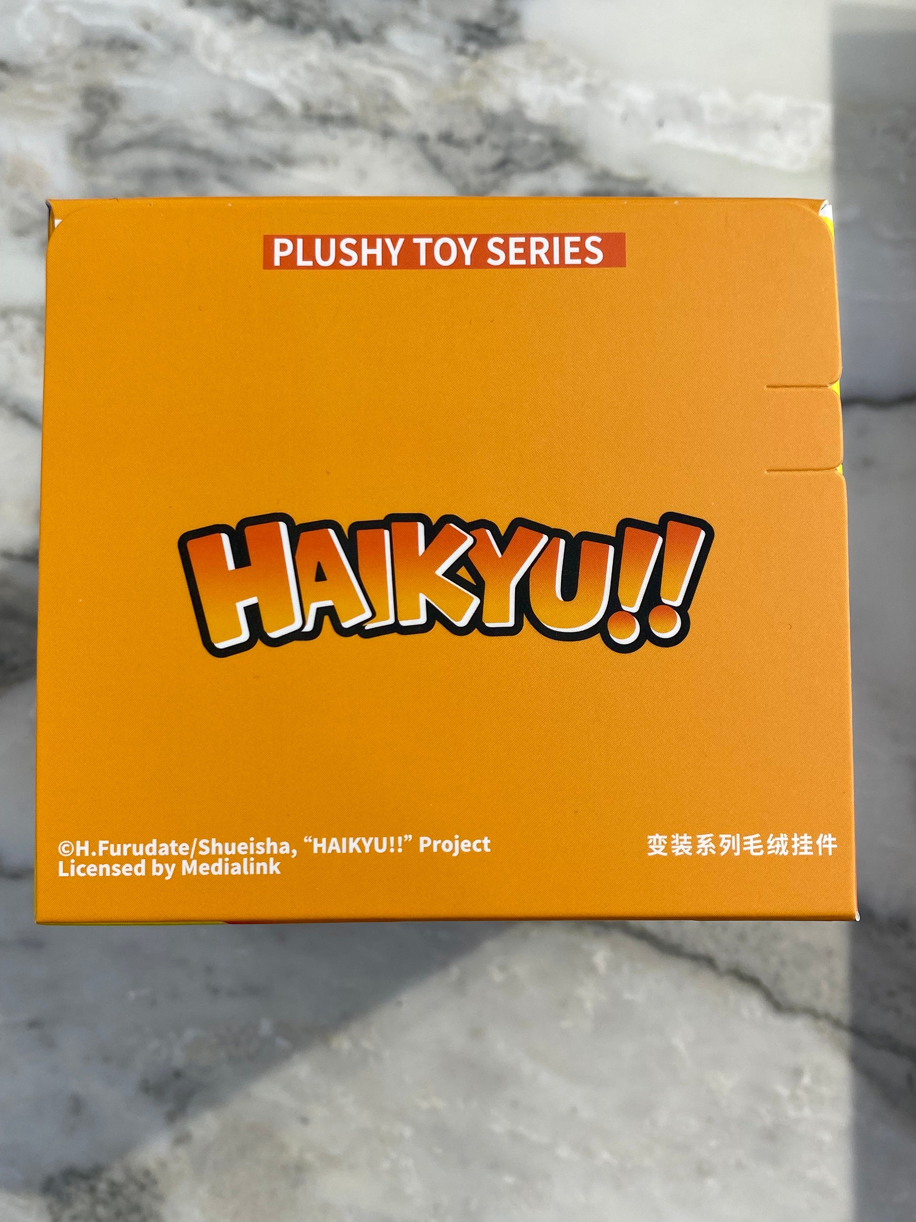 Haikyu Plush Pendant Blind Box